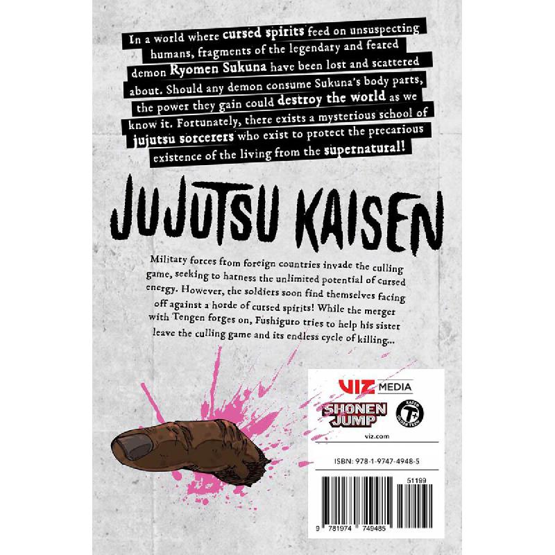 Jujutsu Kaisen: Fearsome Womb -Recurrence-, Volume 24 2