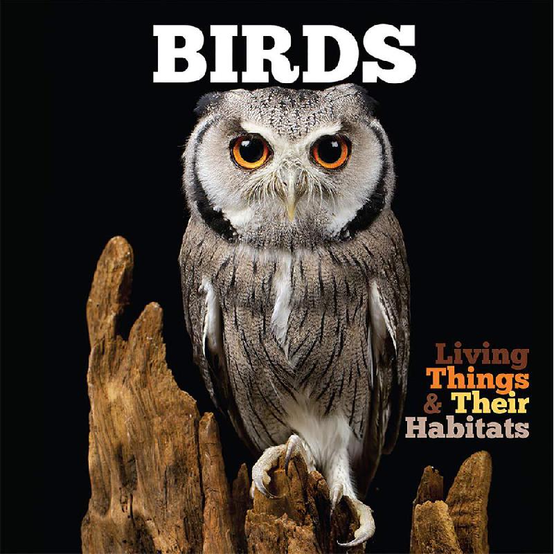Birds | Children Books | Children - Reference/Ency | English Books | Global Shipping | Children Encyclopedia (8+)