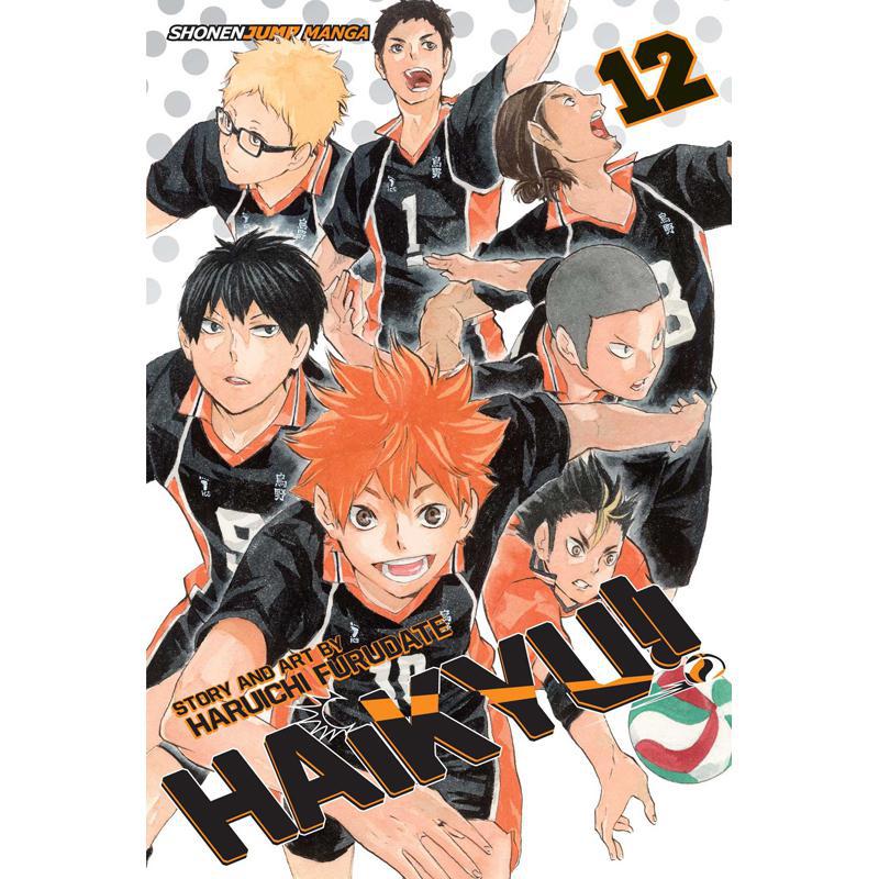 Haikyu!!: The Tournament Begins