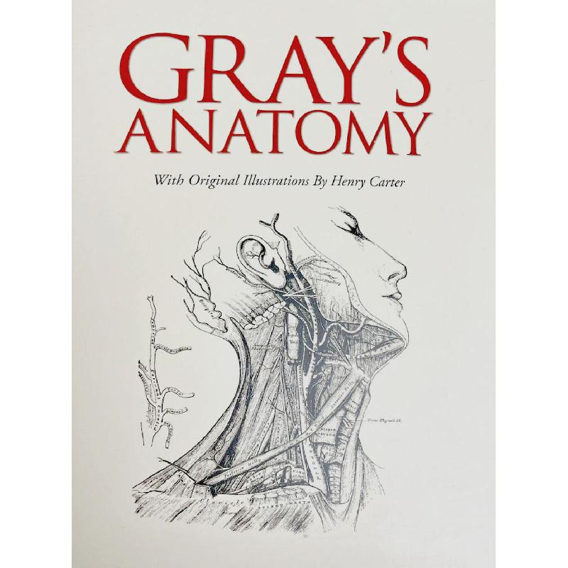 Gray's Anatomy | الكتب الطبية | التشريح / علم الأجنة / علم الأنسجة | الكتب الانجليزية | وصل حديثاً | الشحن الدولي