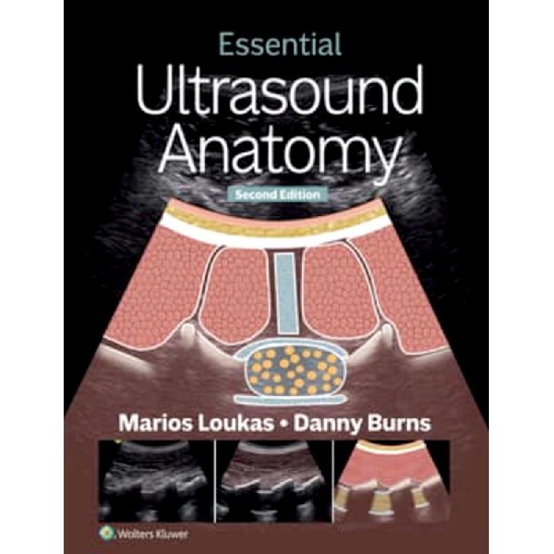 Essential Ultrasound Anatomy | Medical Books | Radiography & Radiology | English Books | New Arrivals