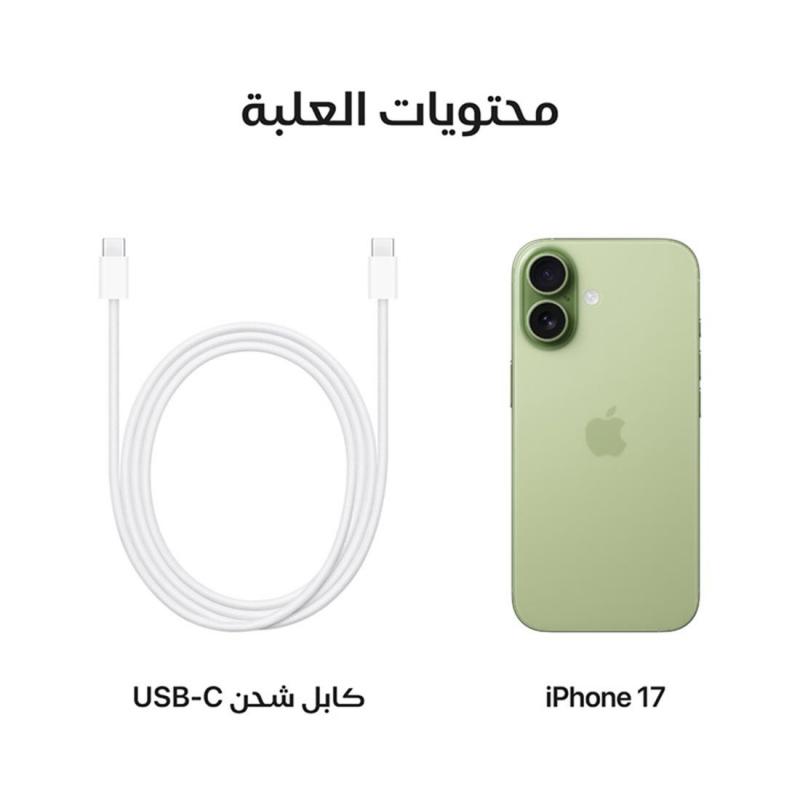 صورة 6