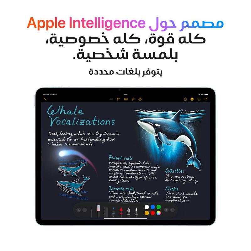 صورة 3