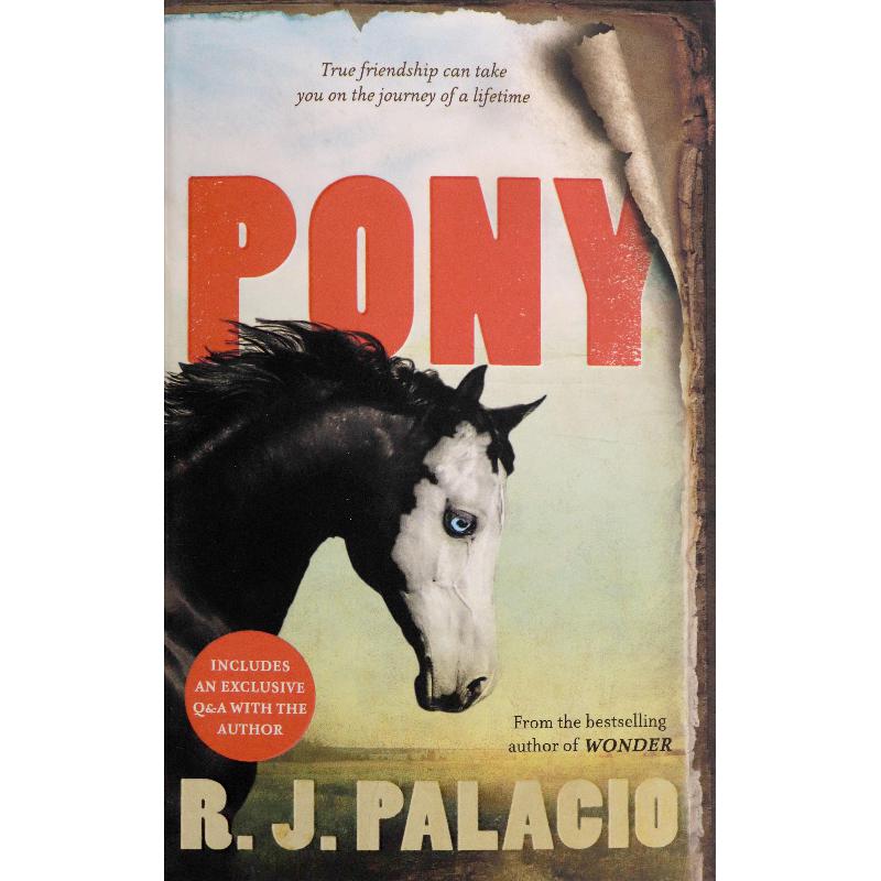 Pony - True Frienship Can Take You on The Journey of a Lifetime