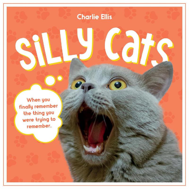 Silly Cats - When You Finally Remember The Thing You were Trying to Remember.