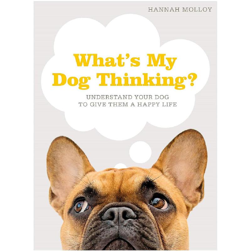 What's My Dog Thinking - Understand Your Dog to Give Them a Happy Life | English Books | New Arrivals | Pets & Pet Care | Pets & Pet Care | Global Shipping