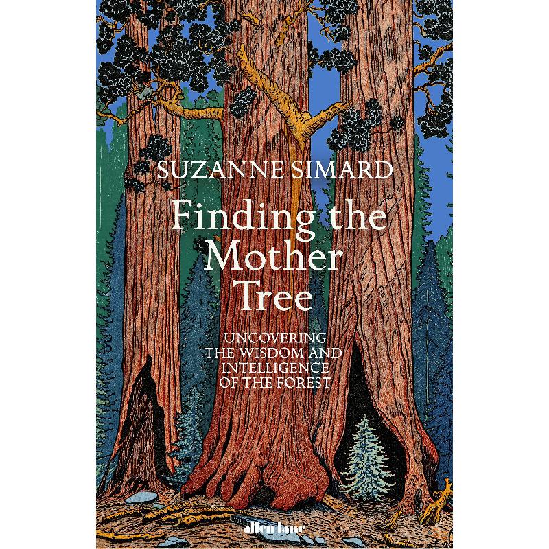 Finding The Mother Tree Suzanne Simard Finding the mother tree suzanne simard