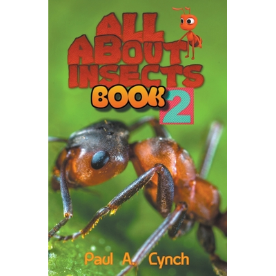 Lynch Insect ALL About Insects Lynch, Paul A. - Jarir.com KSA