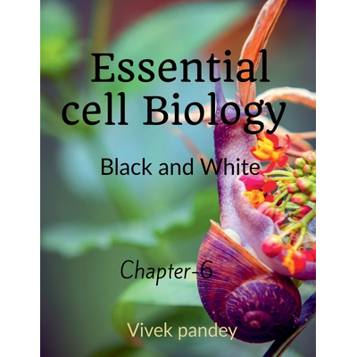 essential cell biology -6( black &white) Pandey,Vivek