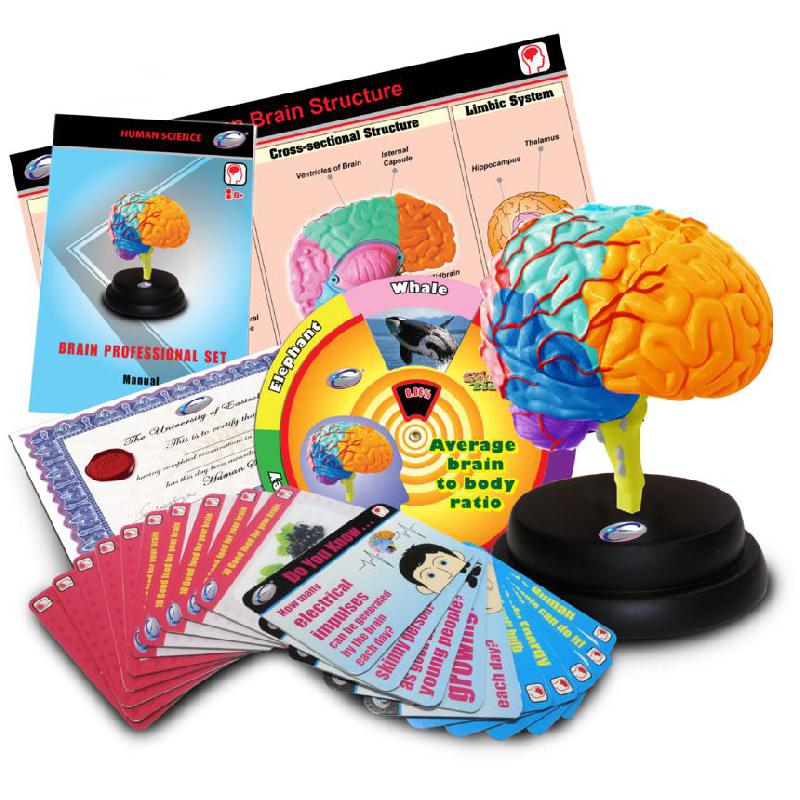 Eastcolight STEM University Brain Professional Set Science Learning Activity Set, English, 8 Years and Above