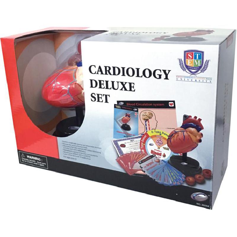 ايستكولايت STEM يونيفرسيتي مجموعة طب القلب الفاخرة أنشطة تعليم العلوم، انجليزي، 8 سنوات فما فوق