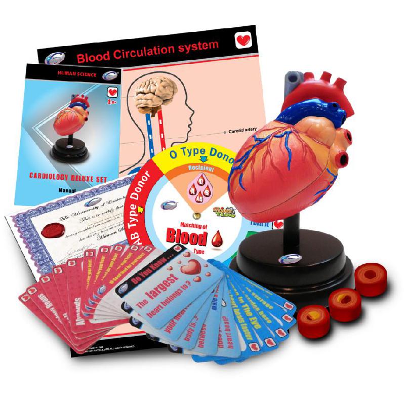 Eastcolight STEM University Cardiology Deluxe Science Learning Activity Set, English, 8 Years and Above