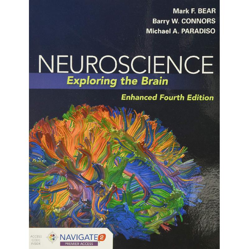 Neuroscience Exploring The Brain, Enhanced 4th Edition Mark Bear