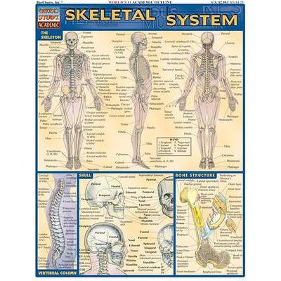 Skeletal System Reference Chart Quick Study Reference Guide Richard ...
