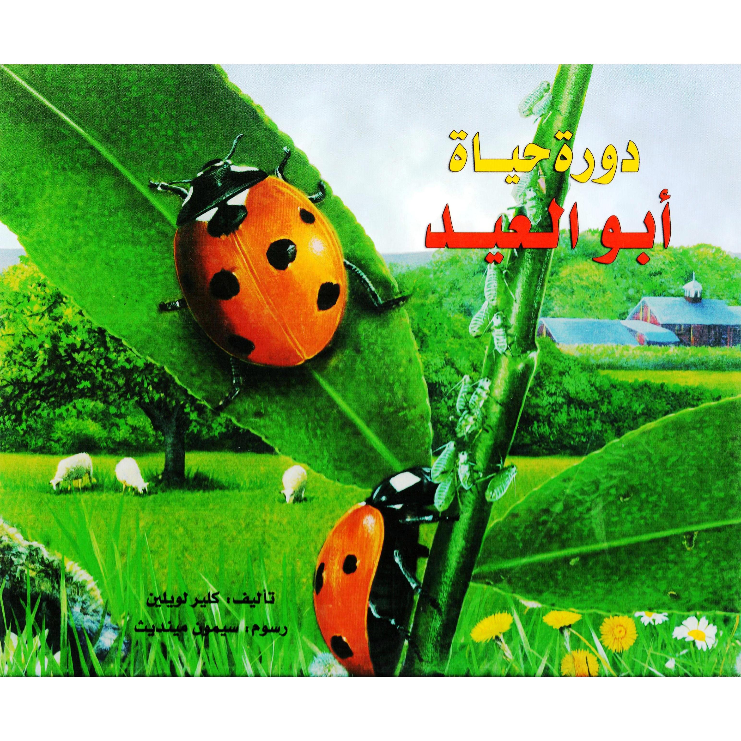 ‎دورة حياة أبو العيد‎ | الأطفال | الكتب العربية | الشحن الدولي | كتب أطفال | 9-6 كتب للناشئة سن | قصص للاطفال (5 - 8)