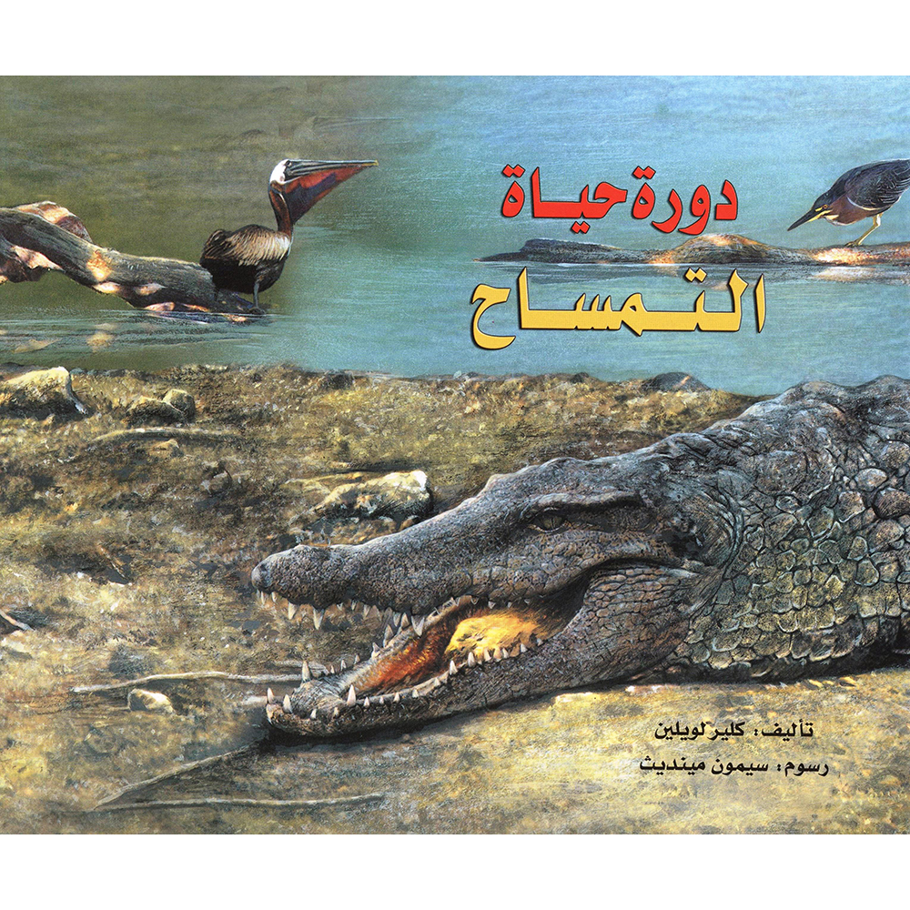 دورة حياة التمساح | Children Books | Arabic Books | Children's Books | Children - Younger (6-9) | Children Story Books (5 - 8)