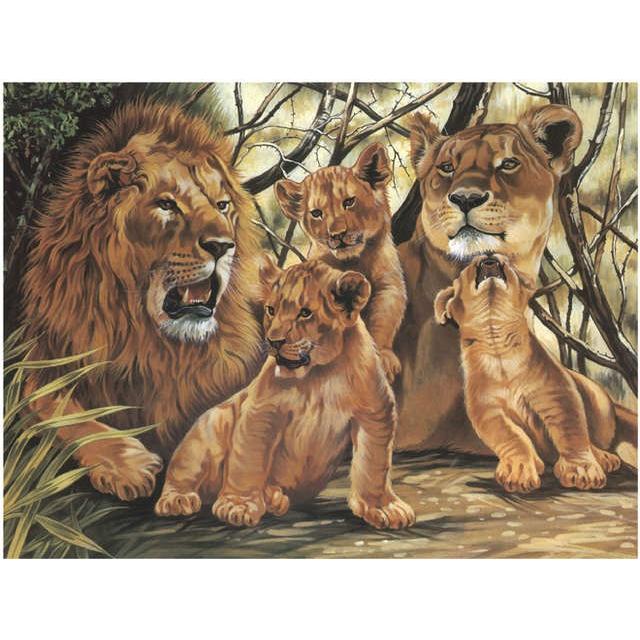 Reeves Paint by Numbers Coloring Activity Set Jarir Bookstore Qatar