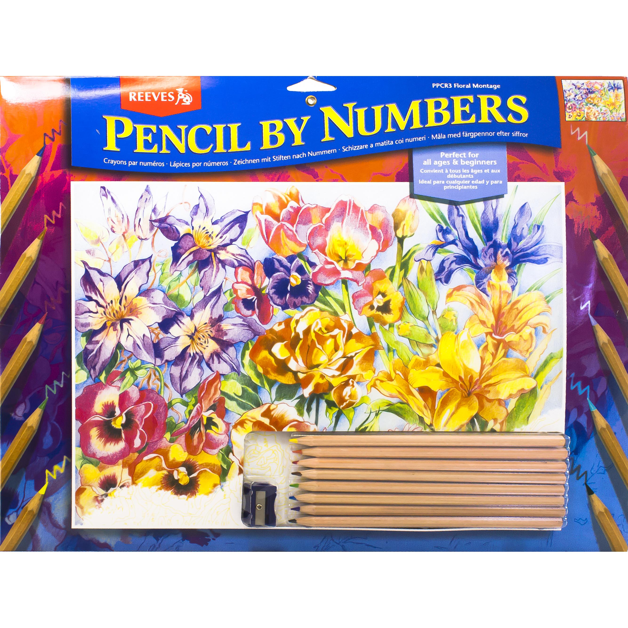 Reeves Color Pencil by Numbers Coloring Activity Set Jarir Bookstore