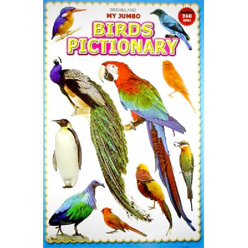 My Jumbo Birds Pictionary Staffs of Dreamland - Jarir.com KSA