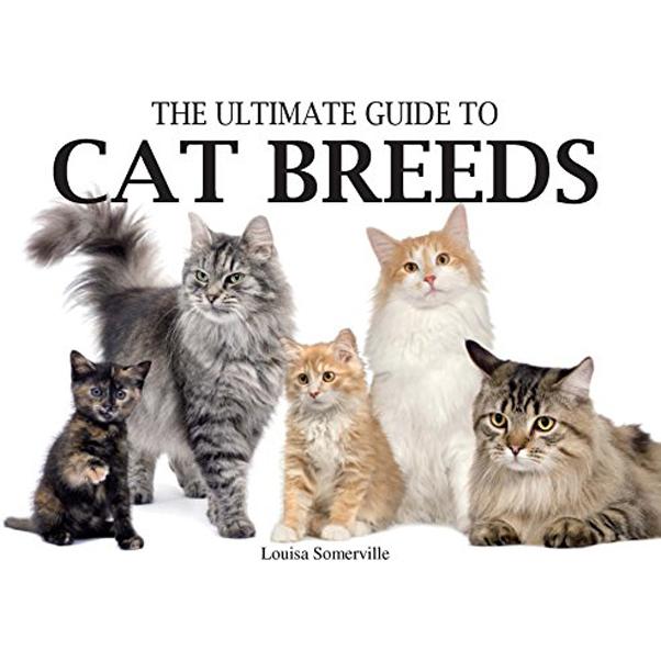 The Ultimate Guide to Cat Breeds price in Saudi Arabia Jarir Saudi