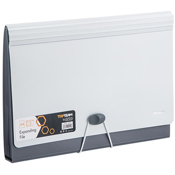 Top Team Expanding File with Division