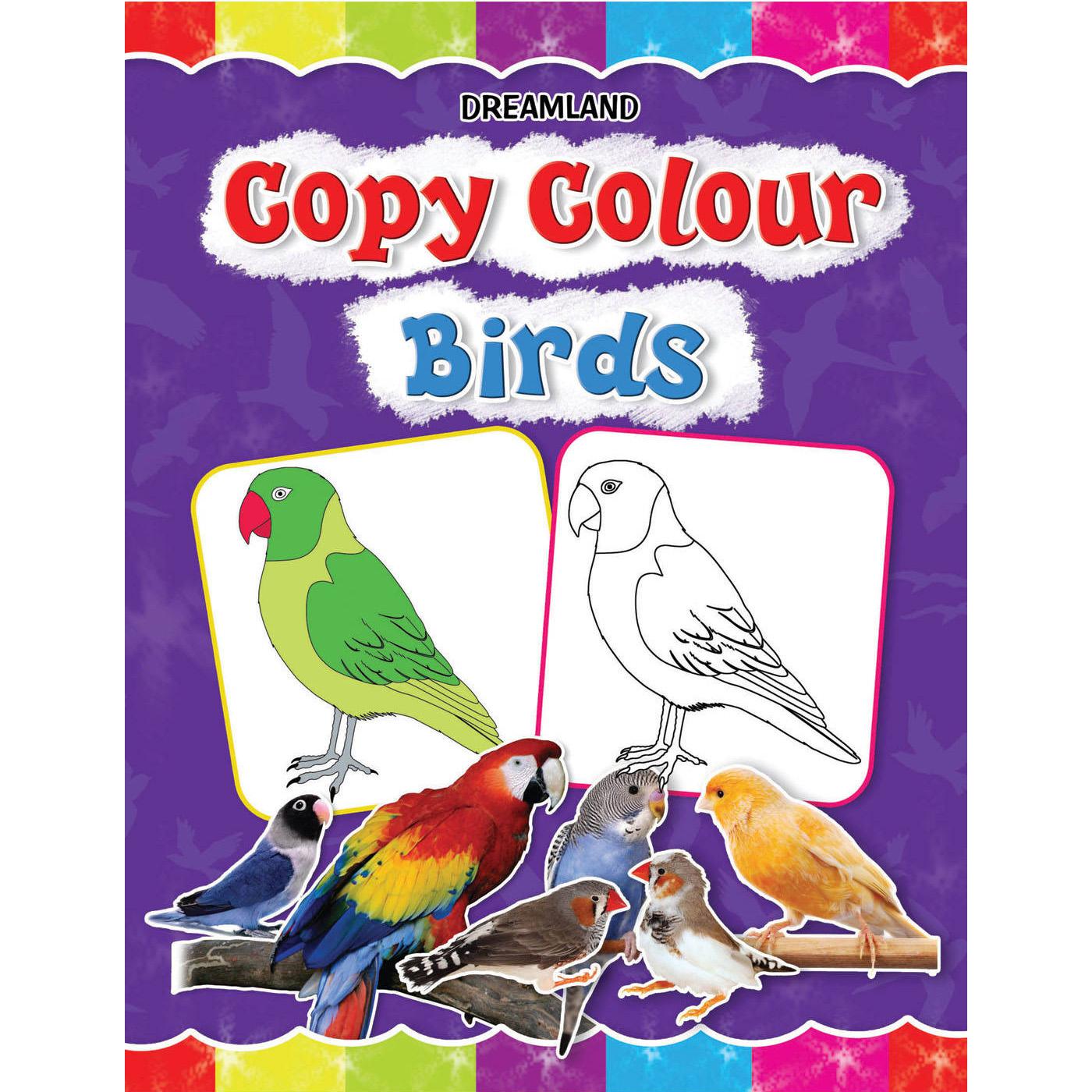 Copy Colour: Birds | الأطفال | الكتب الانجليزية | 9-6 كتب للناشئة سن | الشحن الدولي | كتب تلوين للاطفال (5 - 8) | عروض التصفية