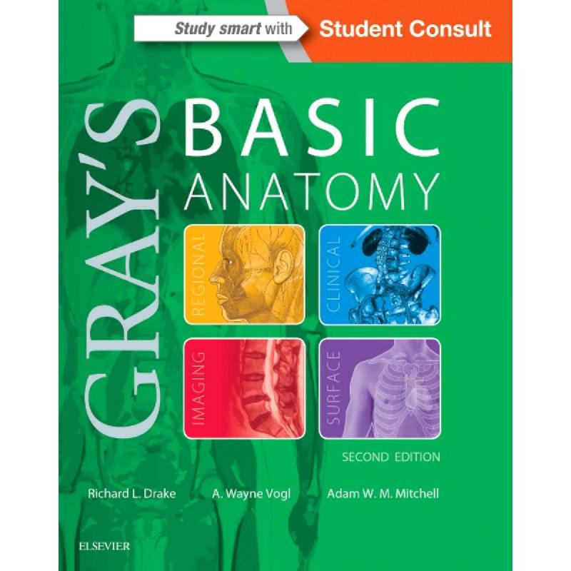 Gray's Basic Anatomy | الكتب الطبية | التشريح / علم الأجنة / علم الأنسجة | الكتب الانجليزية | الشحن الدولي