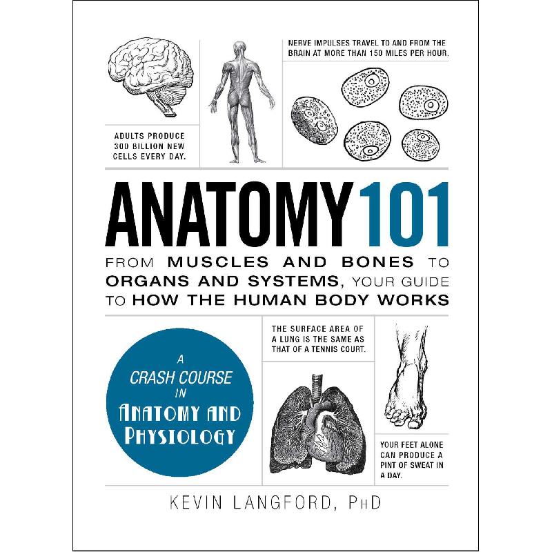 Anatomy 101 (Adams 101) - A Crash Course in Anatomy and Physiology | الكتب الطبية | التشريح / علم الأجنة / علم الأنسجة | الكتب الانجليزية | الشحن الدولي