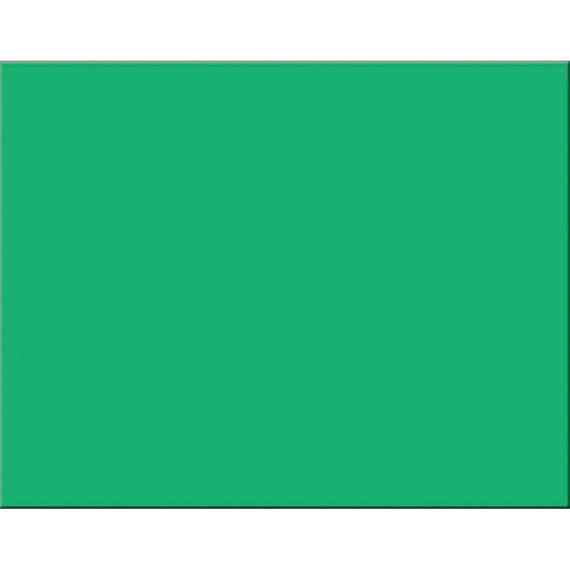 باكون رايل بلوذ Poster Board، اخضر، بوصة ( 71.12 سم 28.00 )X بوصة ( 55.88 سم 22.00 )، 220‎ gsm