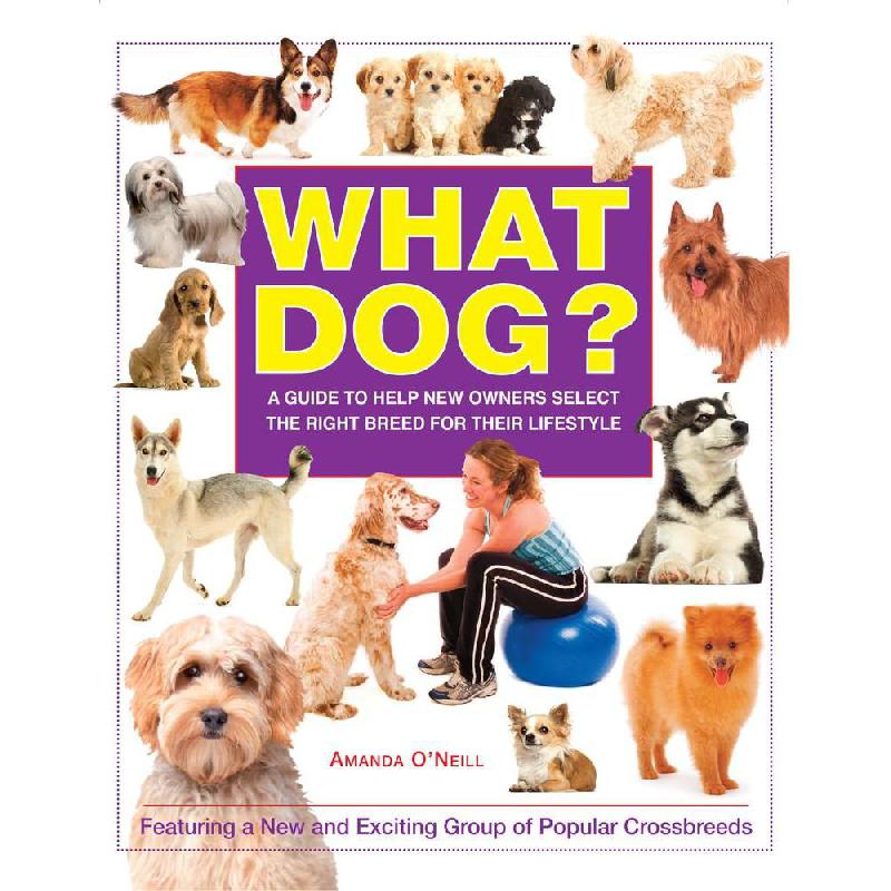 What Dog A Guide to Help New Owners Select The Right Breed for Their