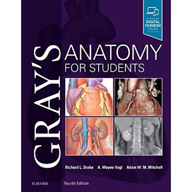 Gray's Anatomy e-dition: The Anatomical Basis of Clinical