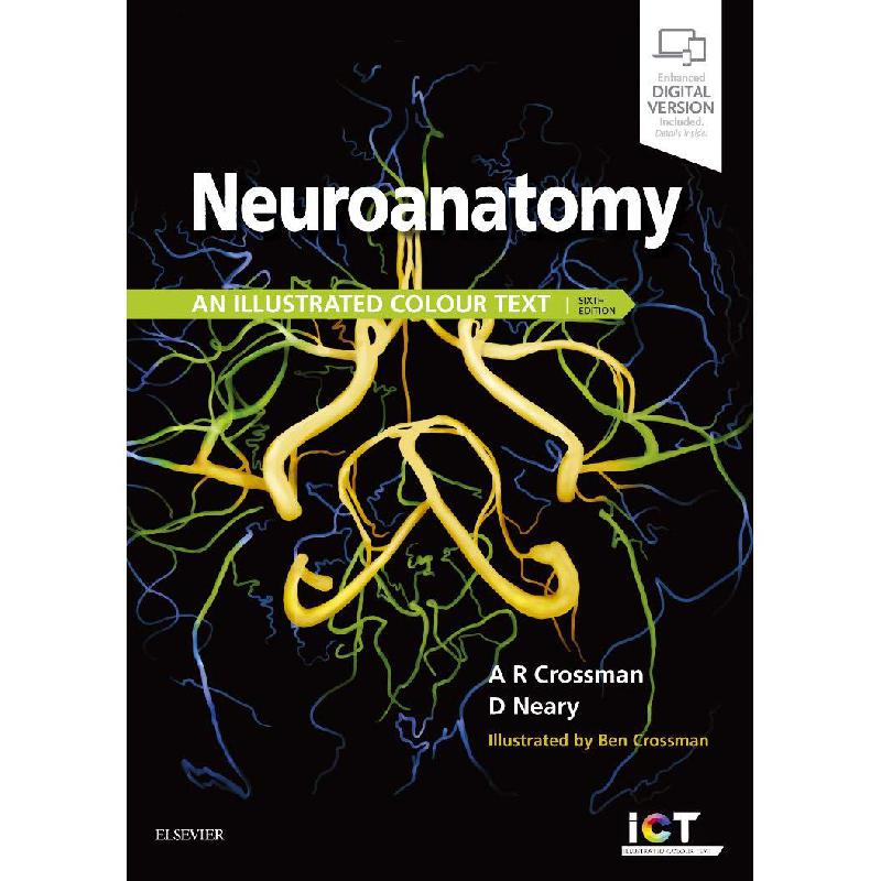 Neuroanatomy | Medical Books | Neurology | English Books | Global Shipping
