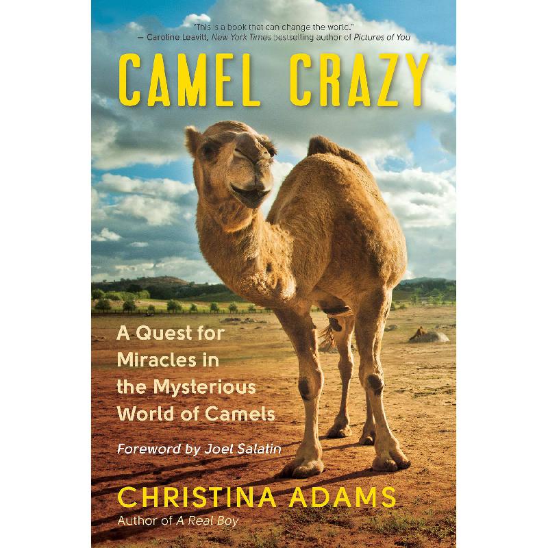 Camel Crazy Christina Adams KSA
